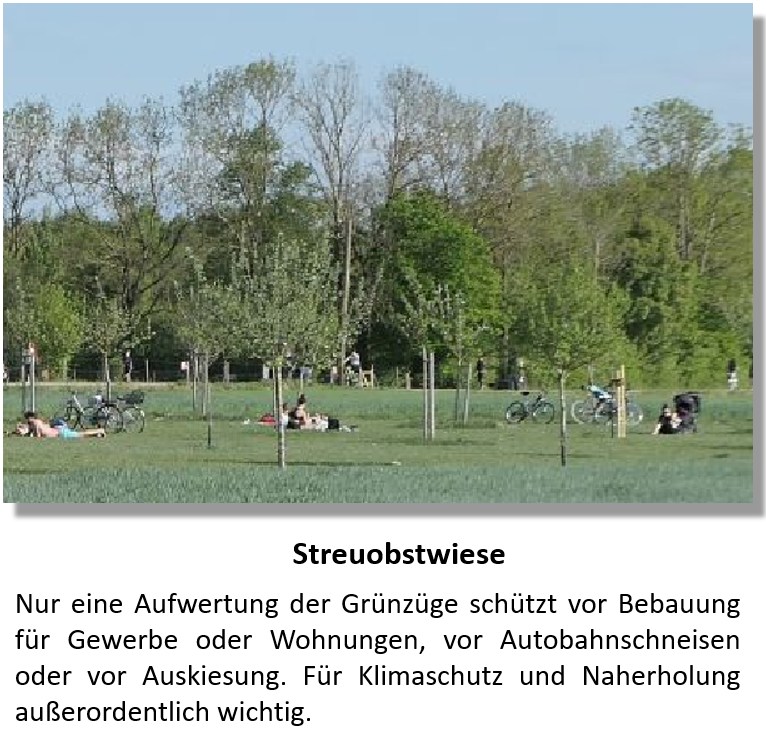 Streuobstwiese teaser f
